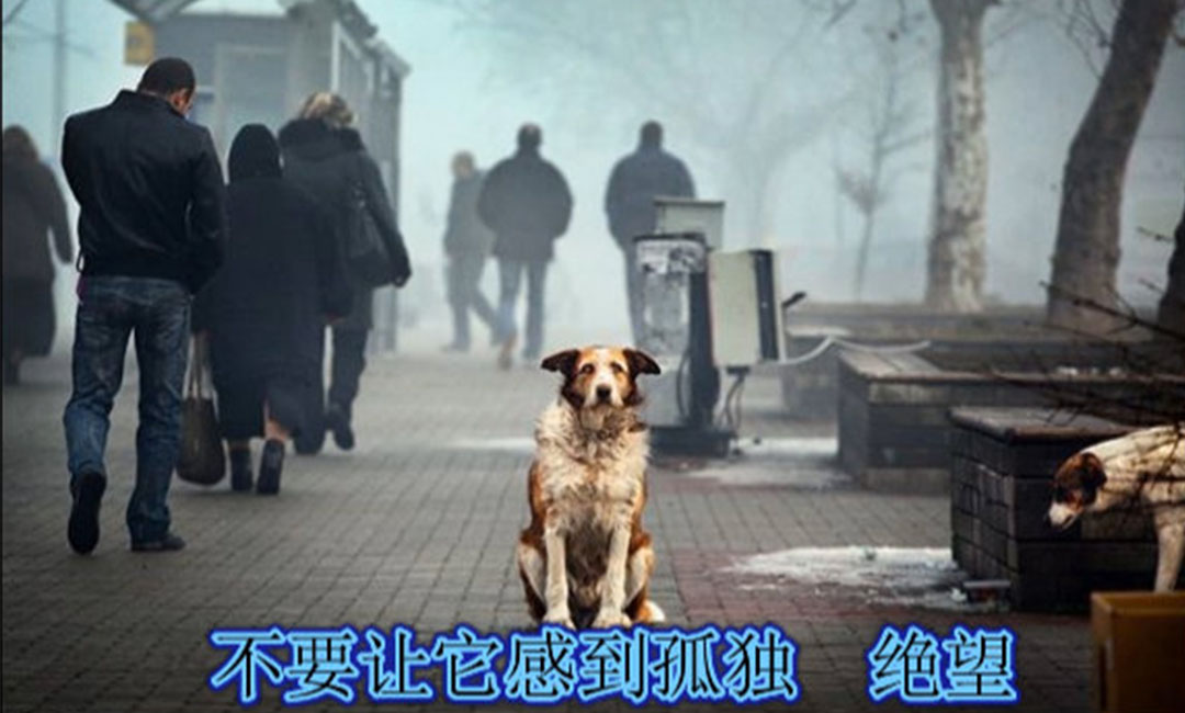 安徽安徽爱影圈微博微信转发案例